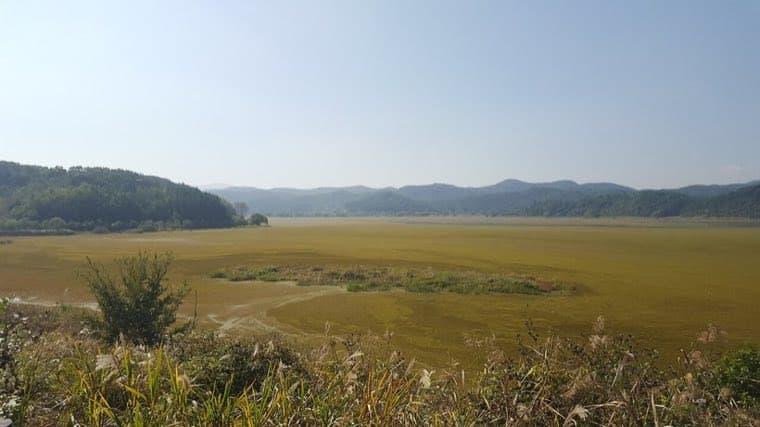 Upo Wetland
